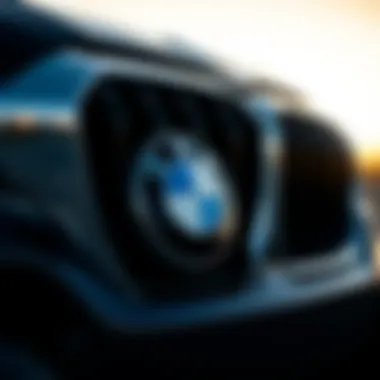 Visual representation of effective investment strategies for BMW